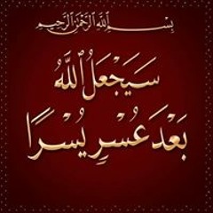 Mohamed fouad