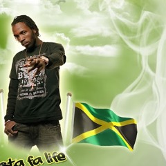 don marvo
