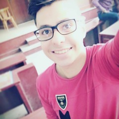 Eng-ahmed Adel Helmy