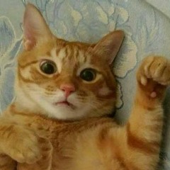 劉君君-singing&guitar