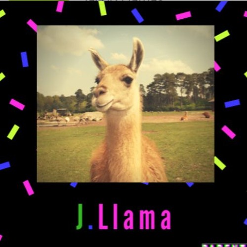 J.llama’s avatar