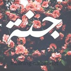 Gana Elmowafy