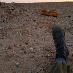 Ofek Fuchs