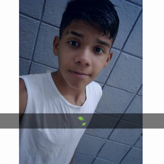 PP da VS