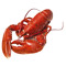 Space Lobster