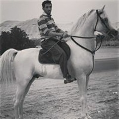 Malek Al-hajji