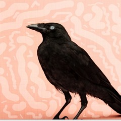 Corvus Productions