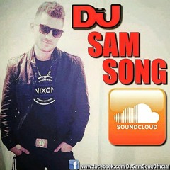 DJ SamSong |Official|