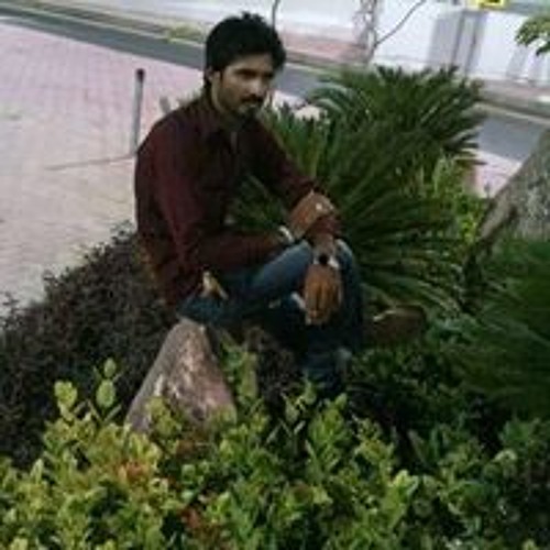 Zahid Malik’s avatar