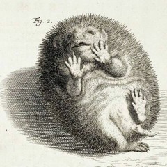 СБПЧ - Провал