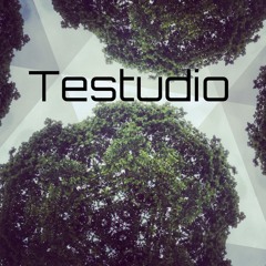 Testudio