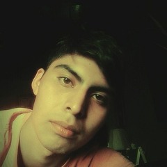 brayan david