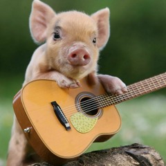 Beautiful Madness (Michael Patrick Kelly cover)