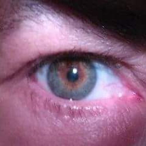 Tetrix_Rising_Composition(2).wav