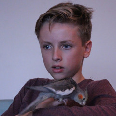 mattijs vens