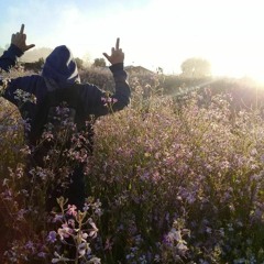 Don Andreh A.K.A ElTio