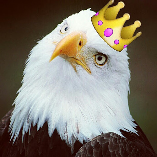 Eagle Princess’s avatar