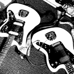 the spiders