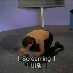 도토리