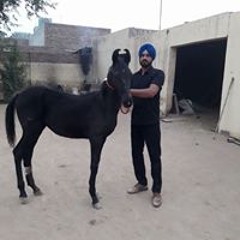 Jaswant Singh Malhi