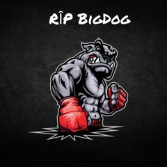 RÎP BIG DOG