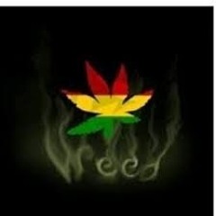 Cannabi Doido