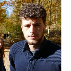 Robbe Reynaert
