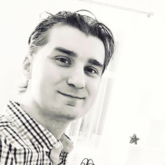 Andrew Aspidov (ART MUSIC CENTER)