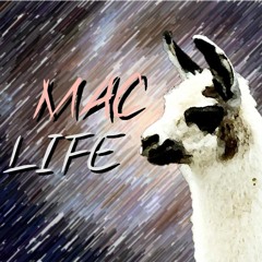 A Mysterious Alpaca Construction