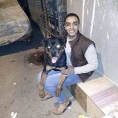 mostafa