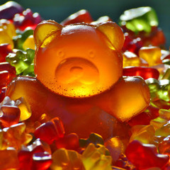 Gummy Bear Pro