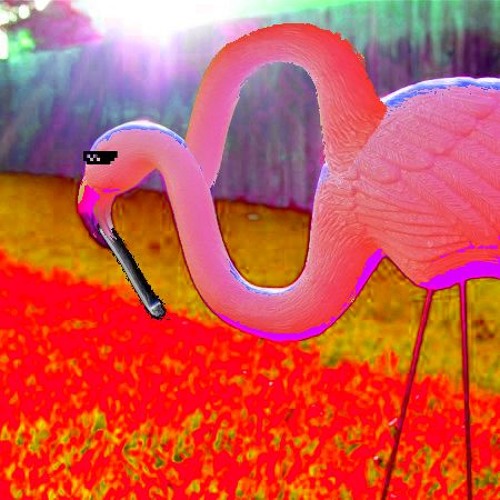 flamingoo’s avatar
