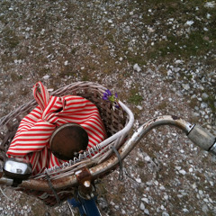 Hanna Zimmerman Lamby