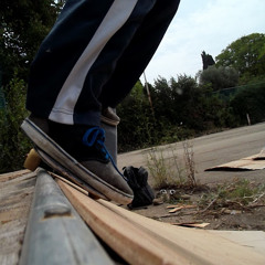 skate pro