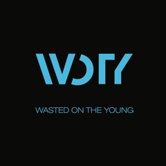 Wasted On The Young