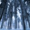 FrostByte