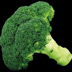 Lil' Broccoli