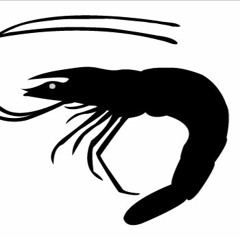 Black shrimp