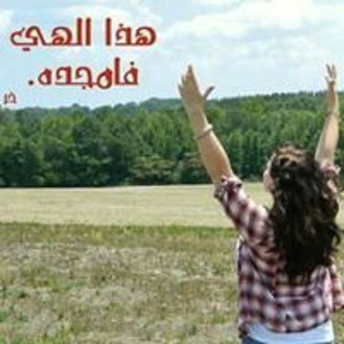 Amany Reda’s avatar