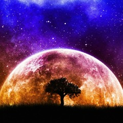 THE FUTURE SOUND OF HEAVEN