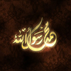 عمرو الهاشمى