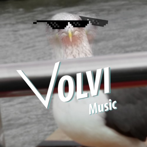 VolviMusic’s avatar