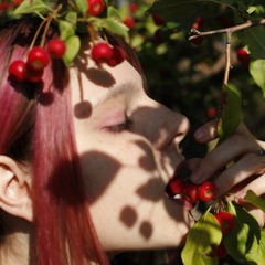Ivy