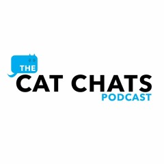 The Cat Chats Podcast