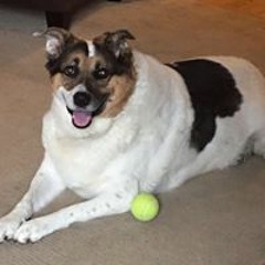 Terri Wilson-Johnson