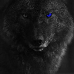 Blackwolf ID
