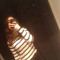 hazal