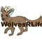 #WRL