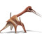 Azhdarchidae