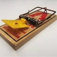 LIL QUEEF AKA YOUNG PUSSY FART